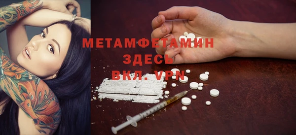 ПСИЛОЦИБИНОВЫЕ ГРИБЫ Гусев