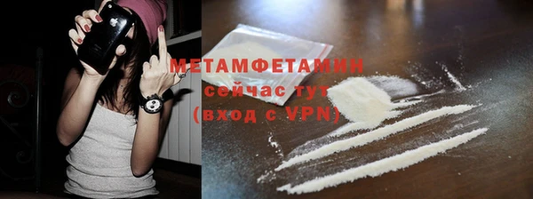 ПСИЛОЦИБИНОВЫЕ ГРИБЫ Гусев