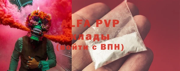 ПСИЛОЦИБИНОВЫЕ ГРИБЫ Гусев
