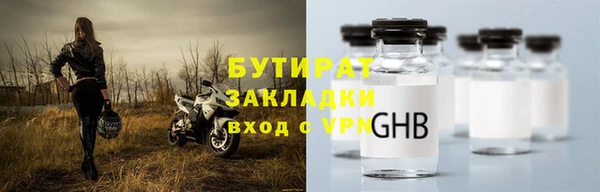 ПСИЛОЦИБИНОВЫЕ ГРИБЫ Гусев