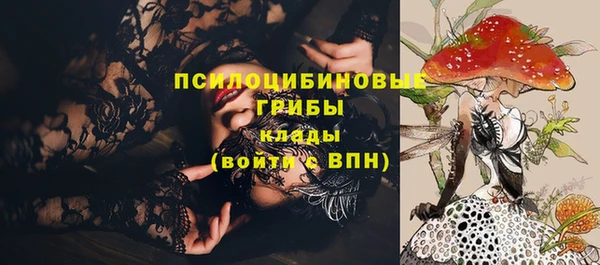прущая мука Дмитриев
